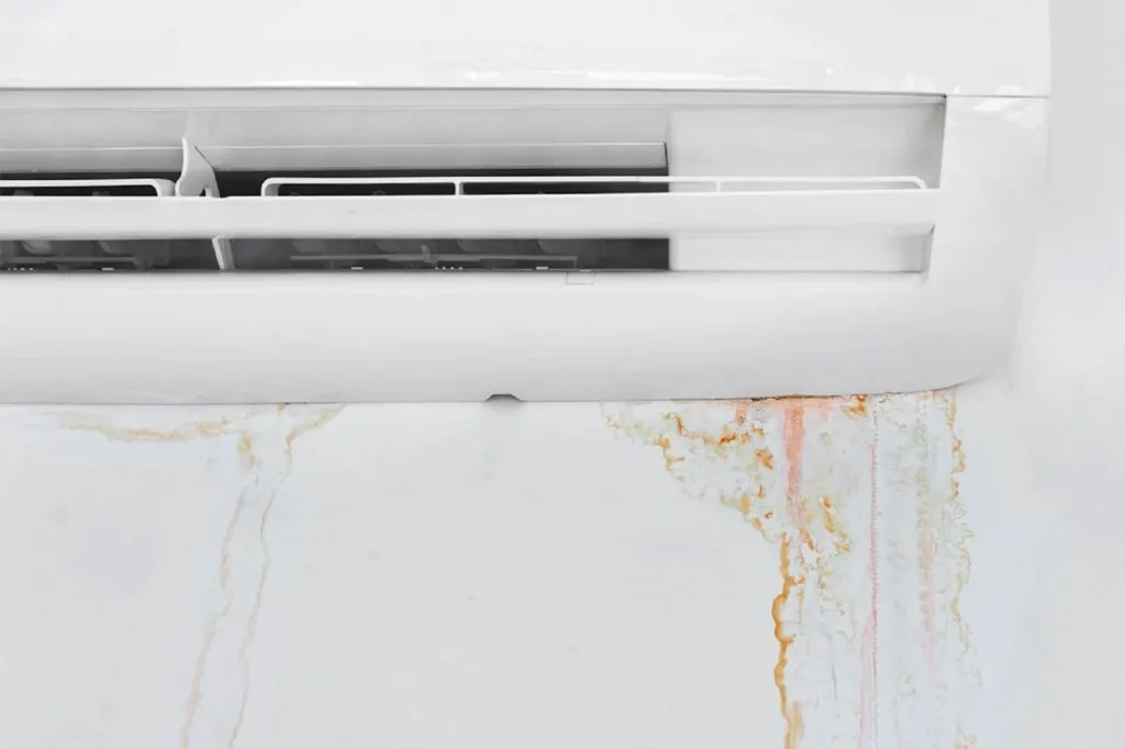 What's Causing The AC To Leak?