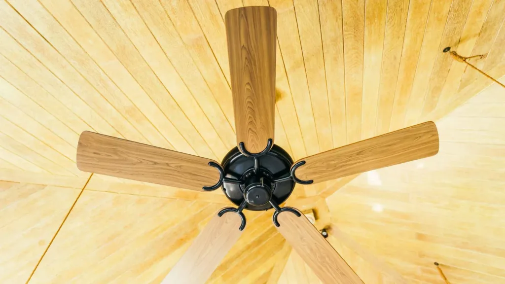 Importance of Regularly Cleaning Your Ceiling Fan